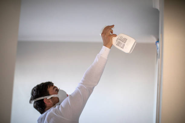 Best Kitchen Mold Remediation in Temple City, CA